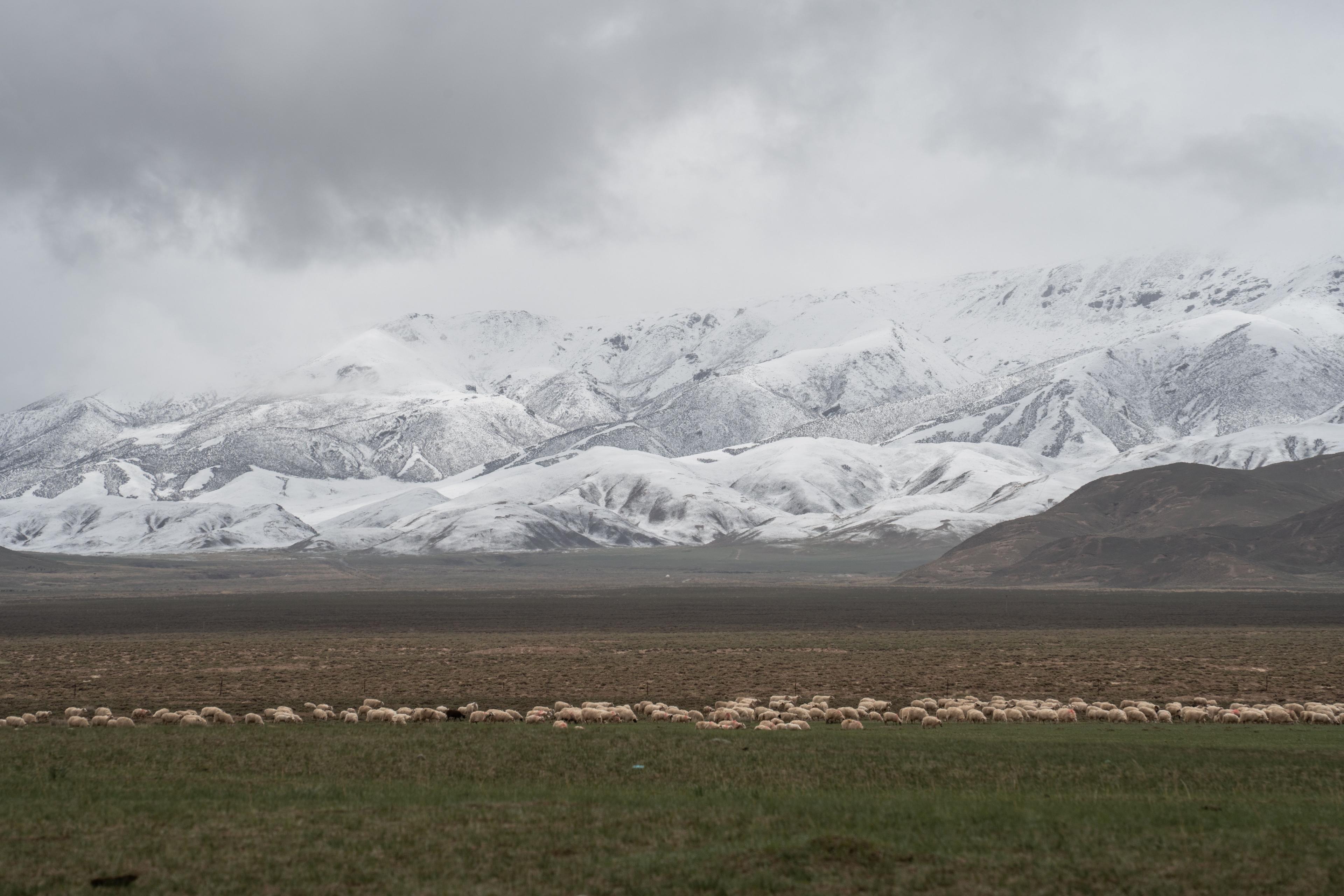 Xining Travel Guide: Tibetan Plateau Gateway