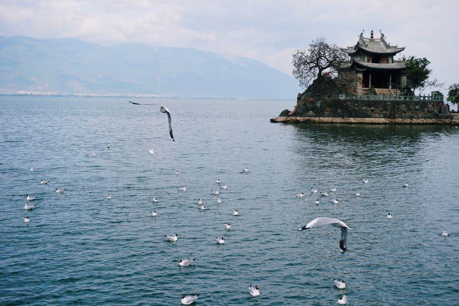 Little Putuo Island (小普陀)