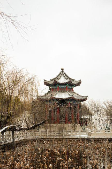 Daming Lake (大明湖)