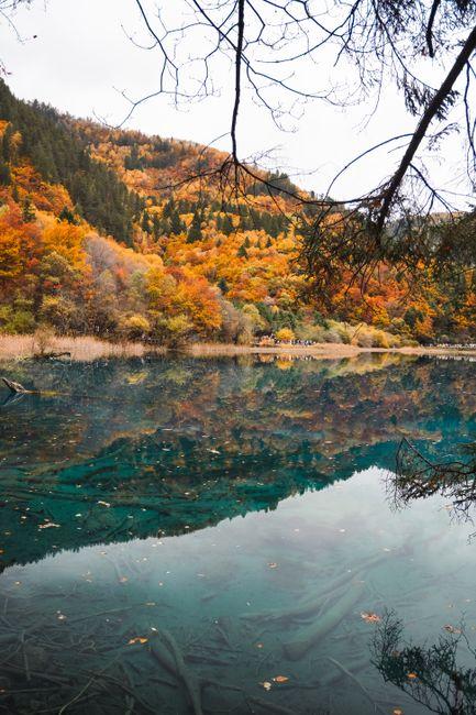 Jiuzhaigou Travel Guide: Fairyland of Colorful Lakes