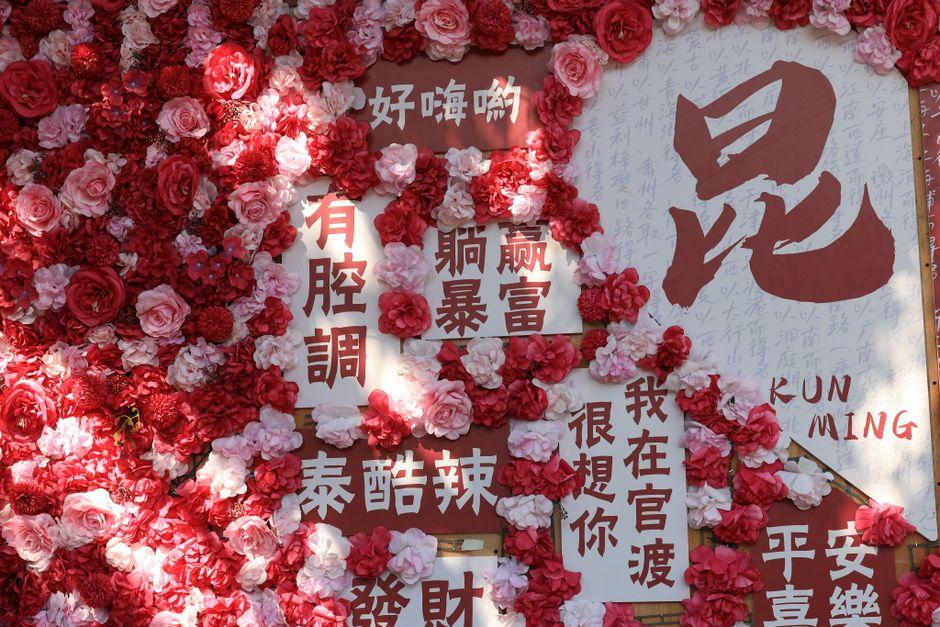 Dounan Flower Market (斗南花市)