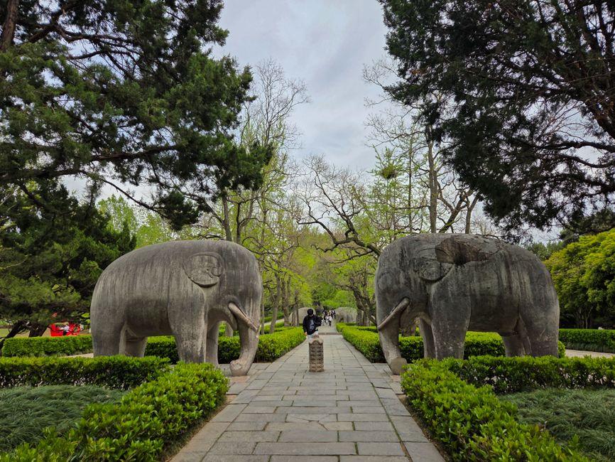 Ming Xiaoling Mausoleum (明孝陵)