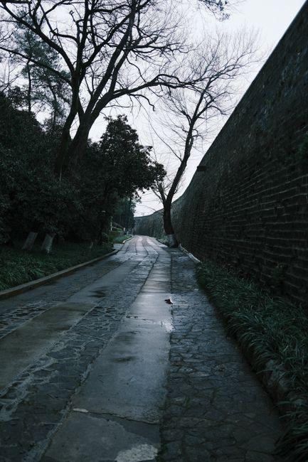 Nanjing City Wall (南京城墙)