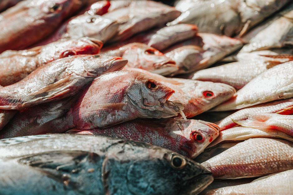 First Market Seafood Market (第一市场)