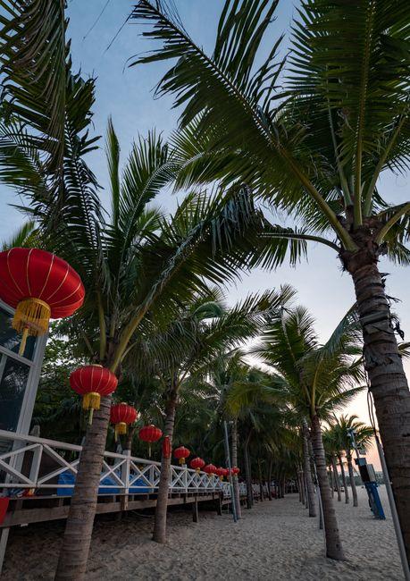 Sanya Bay Coconut Dream Corridor (椰梦长廊)
