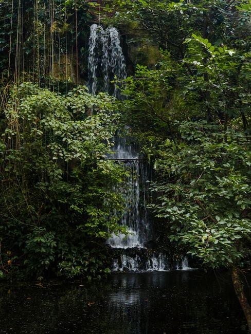 Yalong Bay Tropical Paradise Forest Park, Sanya (亚龙湾热带天堂森林公园)