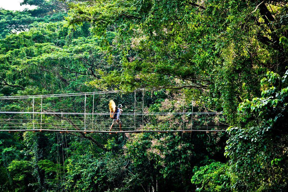 Yanoda Rainforest, Sanya (呀诺达雨林)