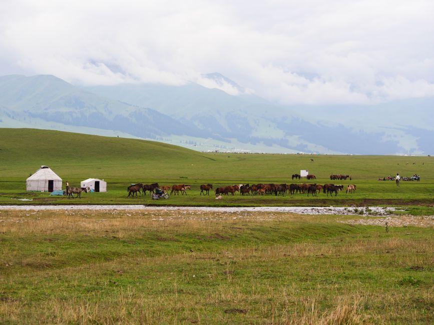 Urumqi Southern Pasture (乌鲁木齐南山牧场)
