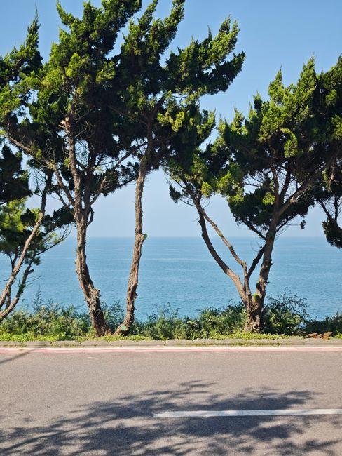 Huandao Road Coastal Path (环岛路)