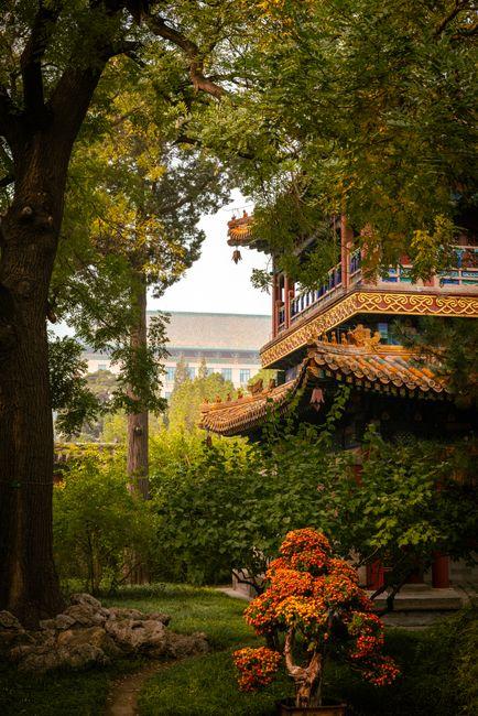 New Yuanming Palace (圆明新园)
